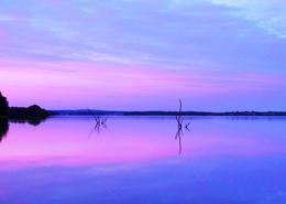 Irish photography. Panorama World. Water Trees, River Slaney - Co. Wexford