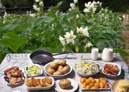 Traditional Irish Cottage Food. Irish Potatoes - Boxty (potato cakes), Sliced and Fried, Champ, Boiled, Roasted Colcannon & Potato Farls.