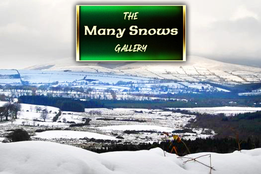 The Many Snows Gallery