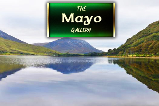 The Mayo Gallery