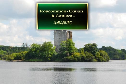 The Roscommon, Cavan & Carlow Gallery